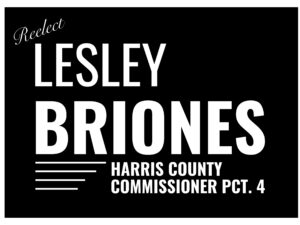Lesley Briones Campaign